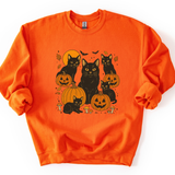 Jack O' Kitty Graphic Tee & Sweatshirt
