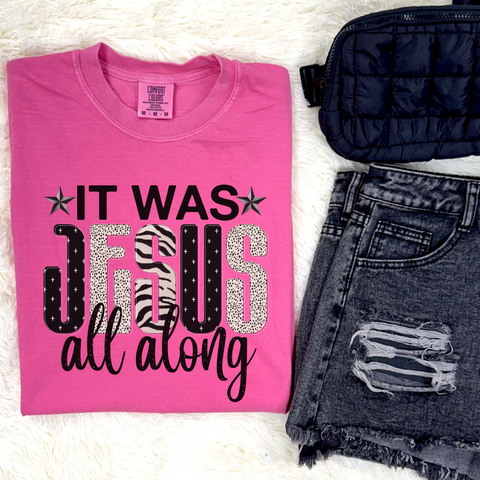 It Was Jesus Graphic Tee
