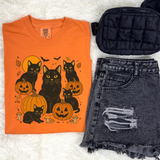 Jack O' Kitty Graphic Tee & Sweatshirt