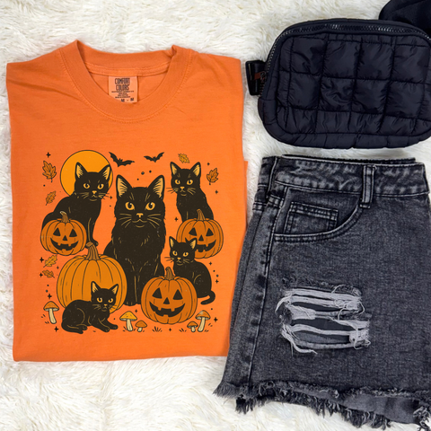 Jack O' Kitty Graphic Tee & Sweatshirt
