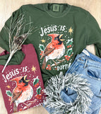 Jesus is Born Short or Long Sleeve Graphic Tees